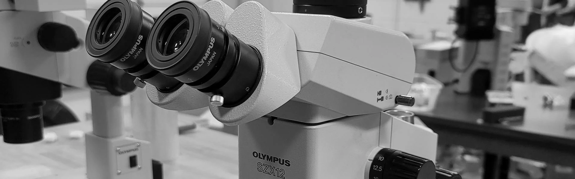 Precision Optics for Professional Analysis